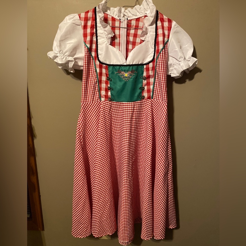 Womens checker print Irish beer girl dress